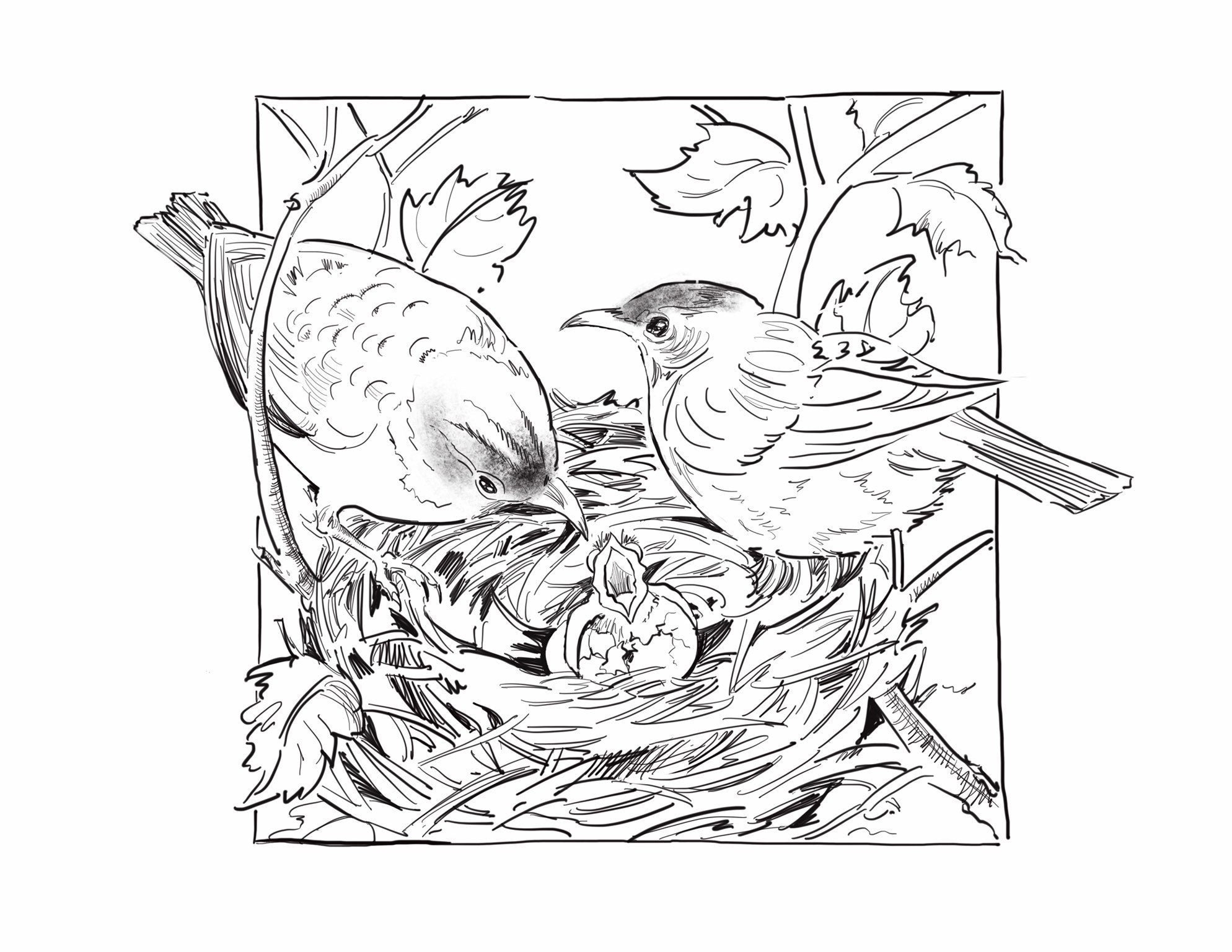 Robin Family instant DIGITAL DOWNLOAD Coloring Page coloring Art kids And Adults black white Drawing pen ink Style baby Bird bird Nest Etsy