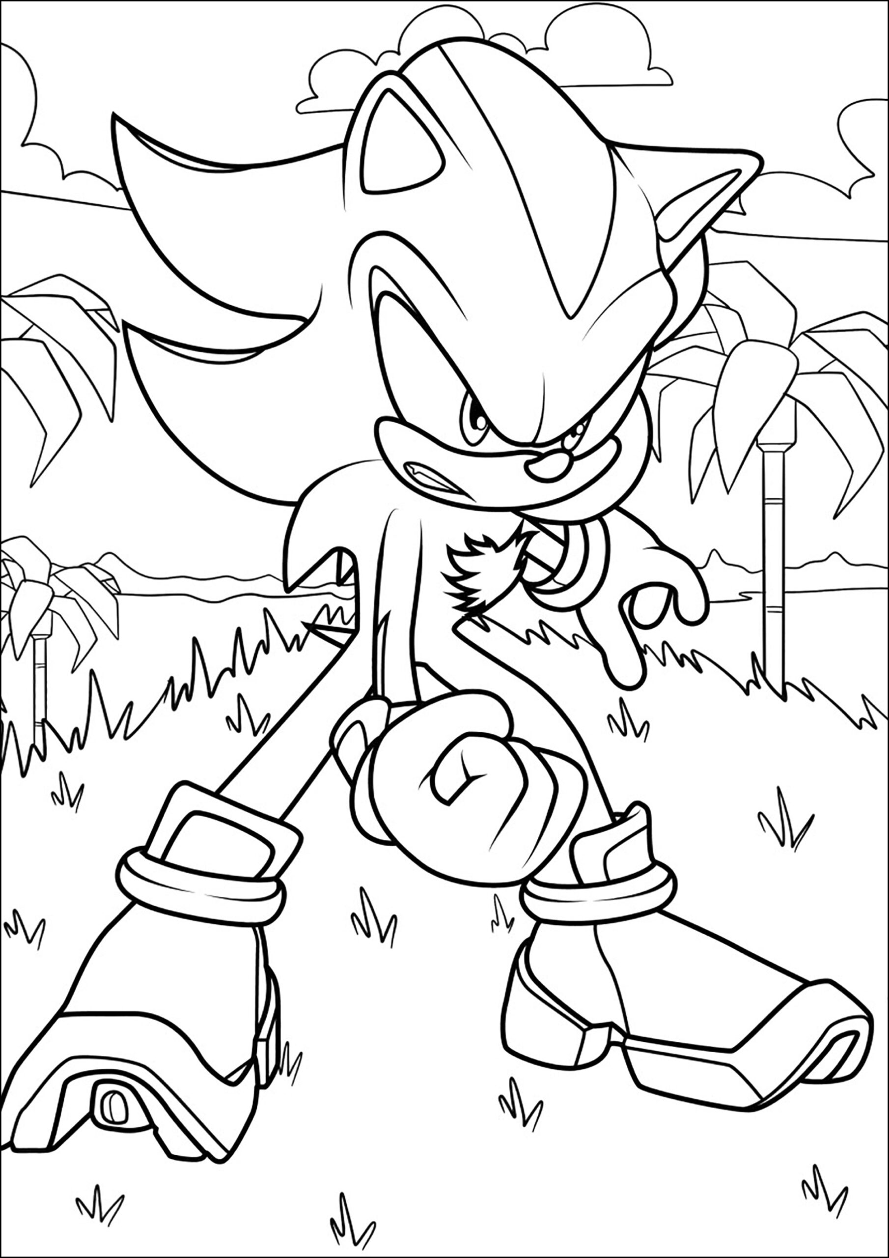 Shadow The Hedgehog In A Rainforest Sonic Coloring Pages