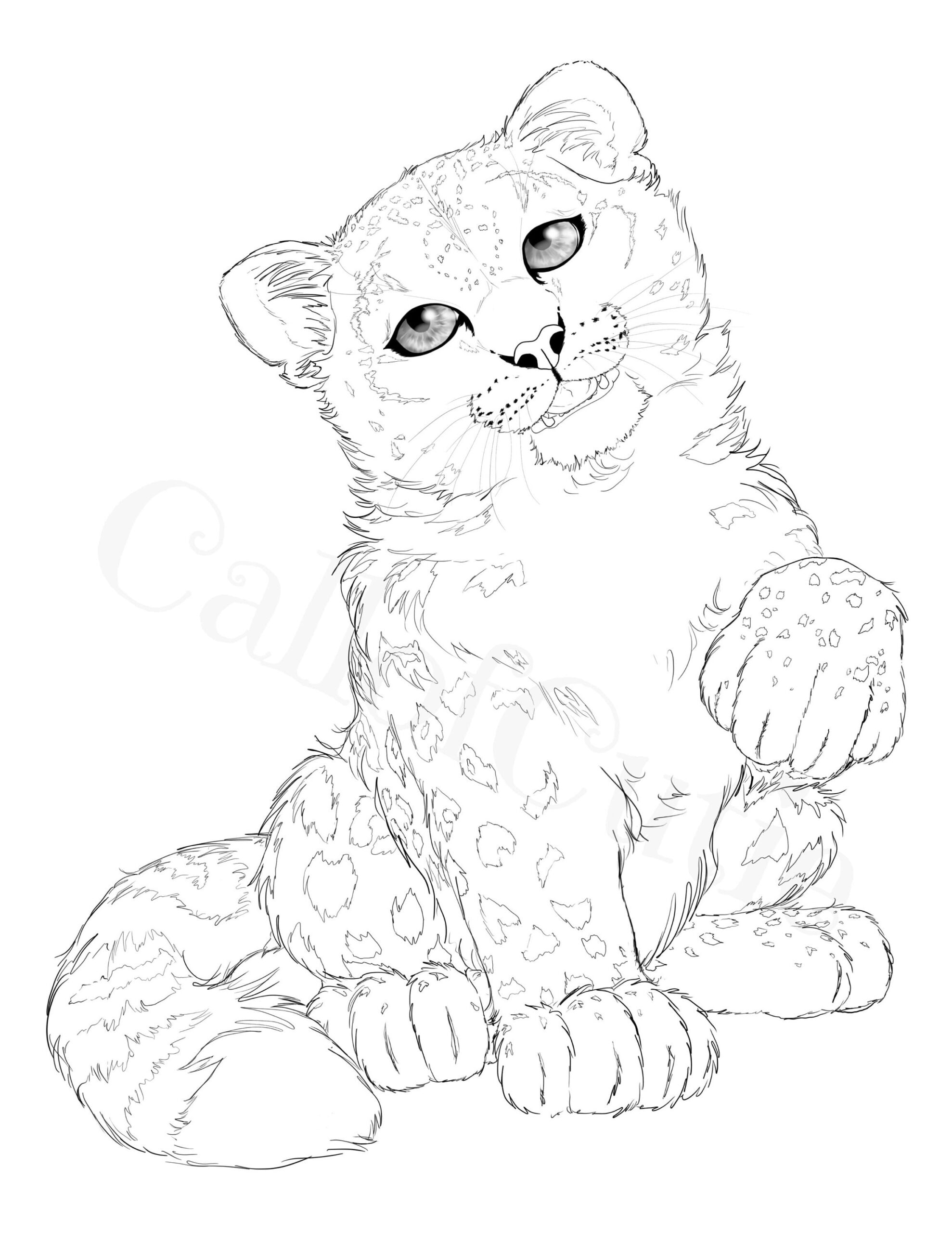 Snow Leopard Color Page snow Leopard Coloring Page big Cat Color Sheet wild Animal Color Sheet Etsy Snow Leopard Color Page snow Leopard Coloring Page big Cat Color Sheet wild Animal Color Sheet Etsy