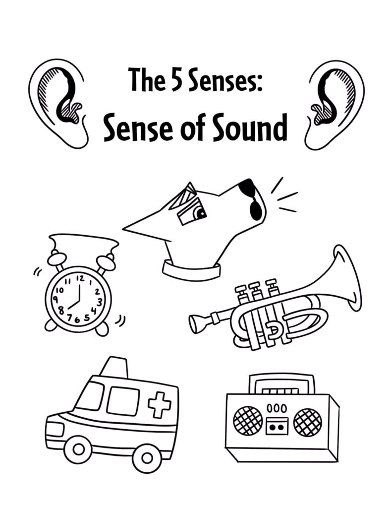 coloring pages 5 senses