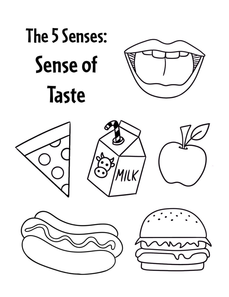 The 5 Senses Worksheets For Preschool The Hollydog Blog