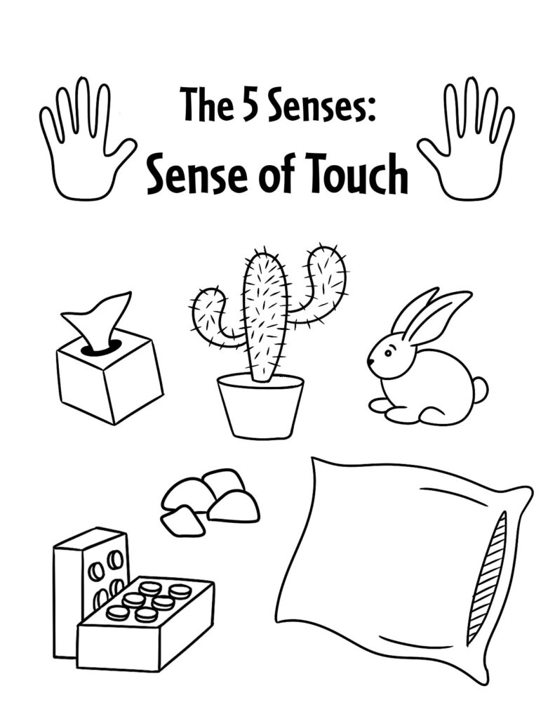 The 5 Senses Worksheets For Preschool The Hollydog Blog