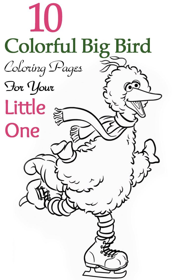 Top 25 Free Printable Big Bird Coloring Pages Online