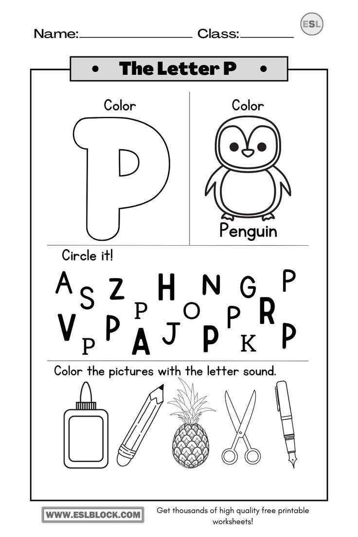 preschool letter p worksheet