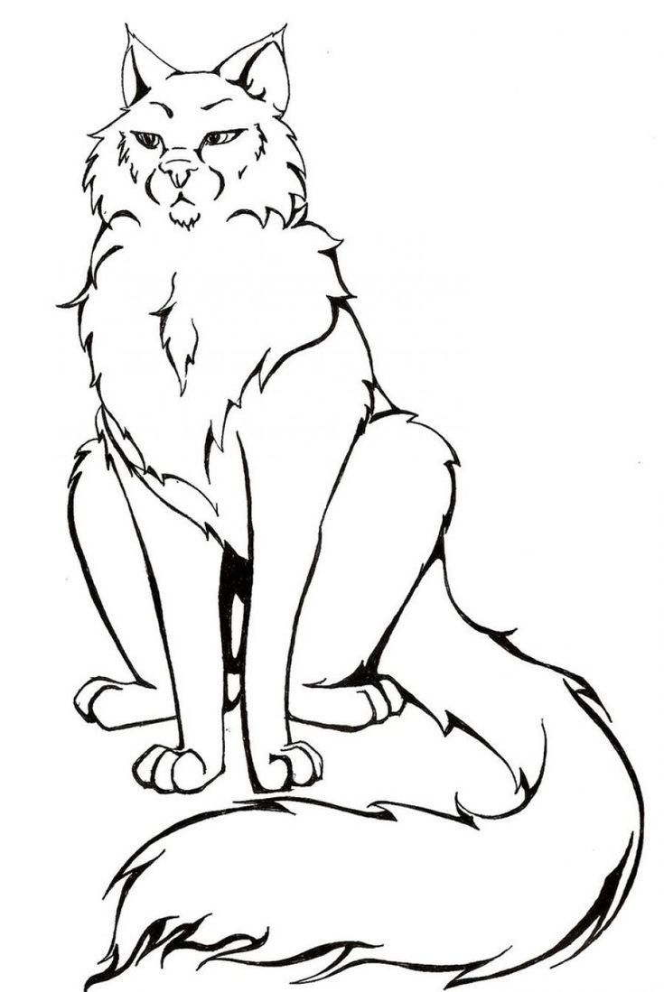 Warrior Cat Cat Coloring Page Warrior Cats