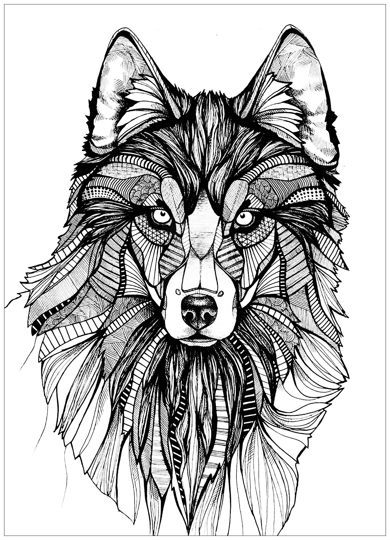 Wolf Coloring Pages For Adults Best Coloring Pages For Kids