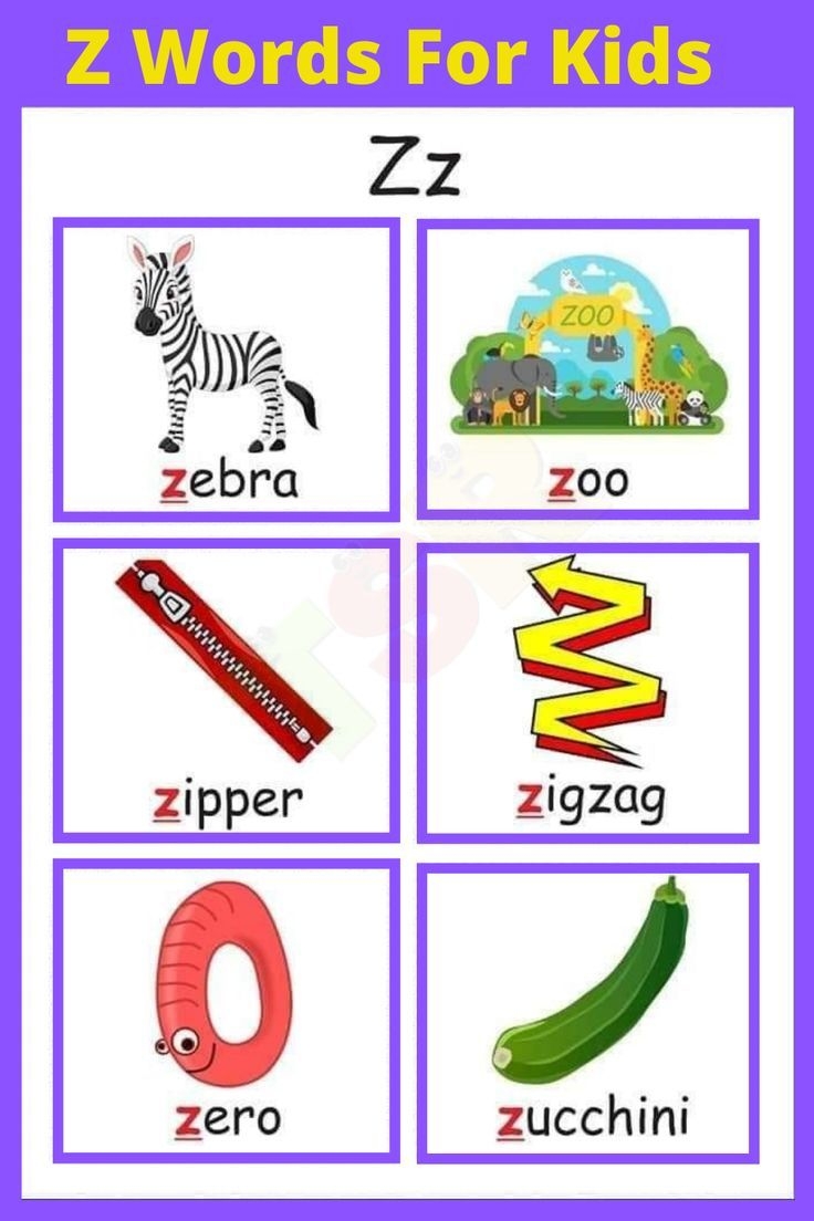Z Words For Kids Which Things That Start With Z Learn Vocabulary Words That Start With Z