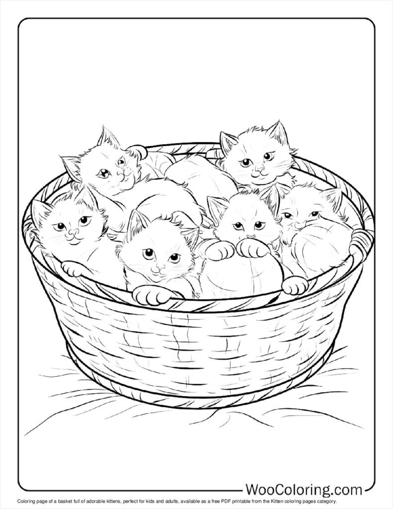 kitten coloring pages