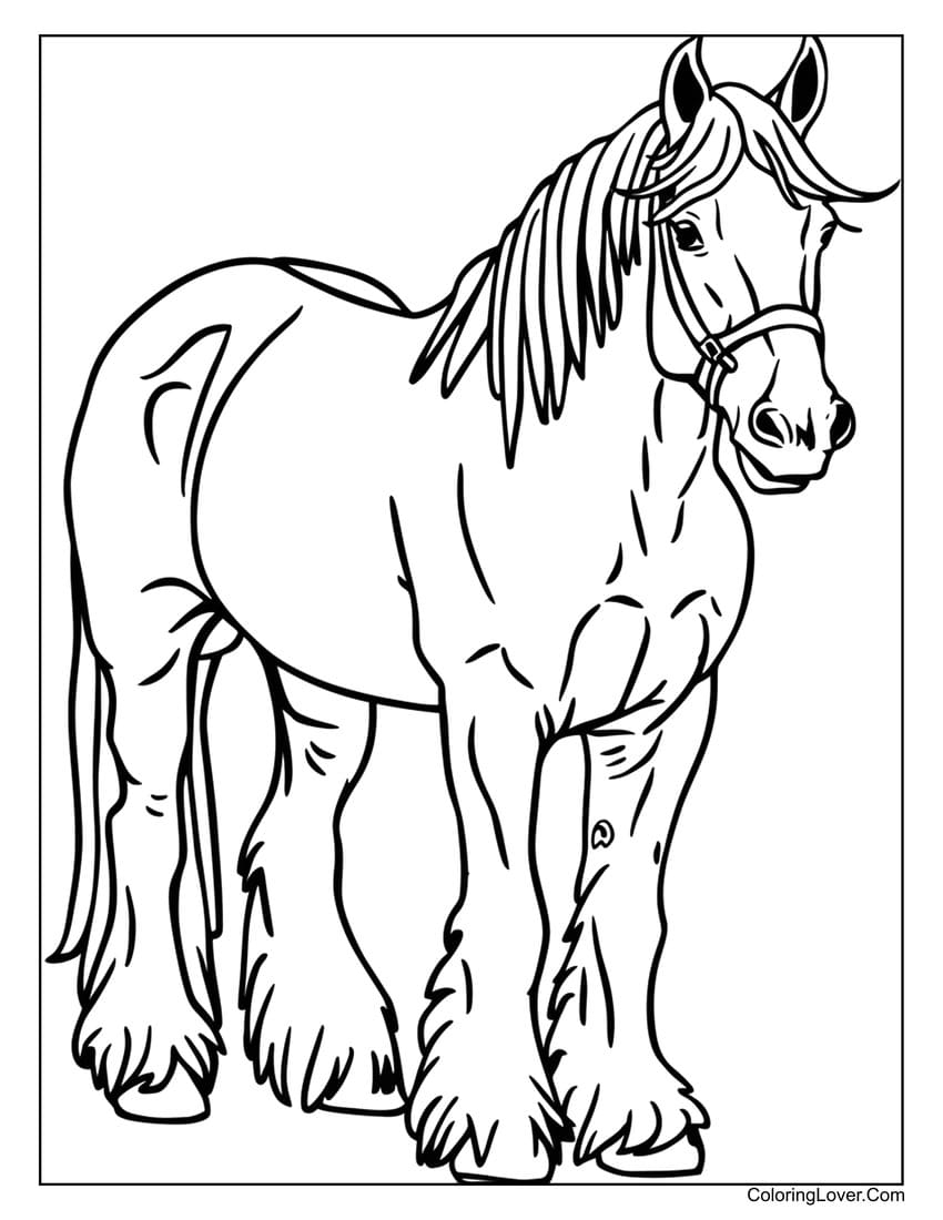 horse coloring page