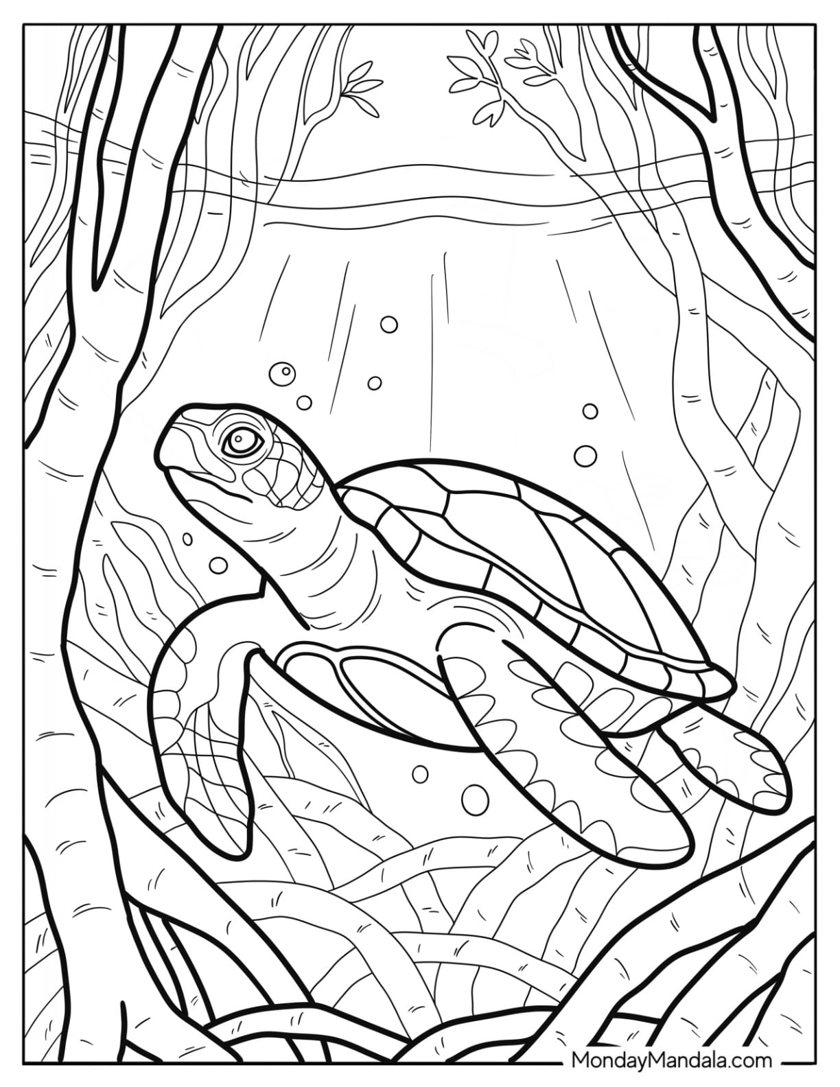 39 Turtle Coloring Pages Free PDF Printables 