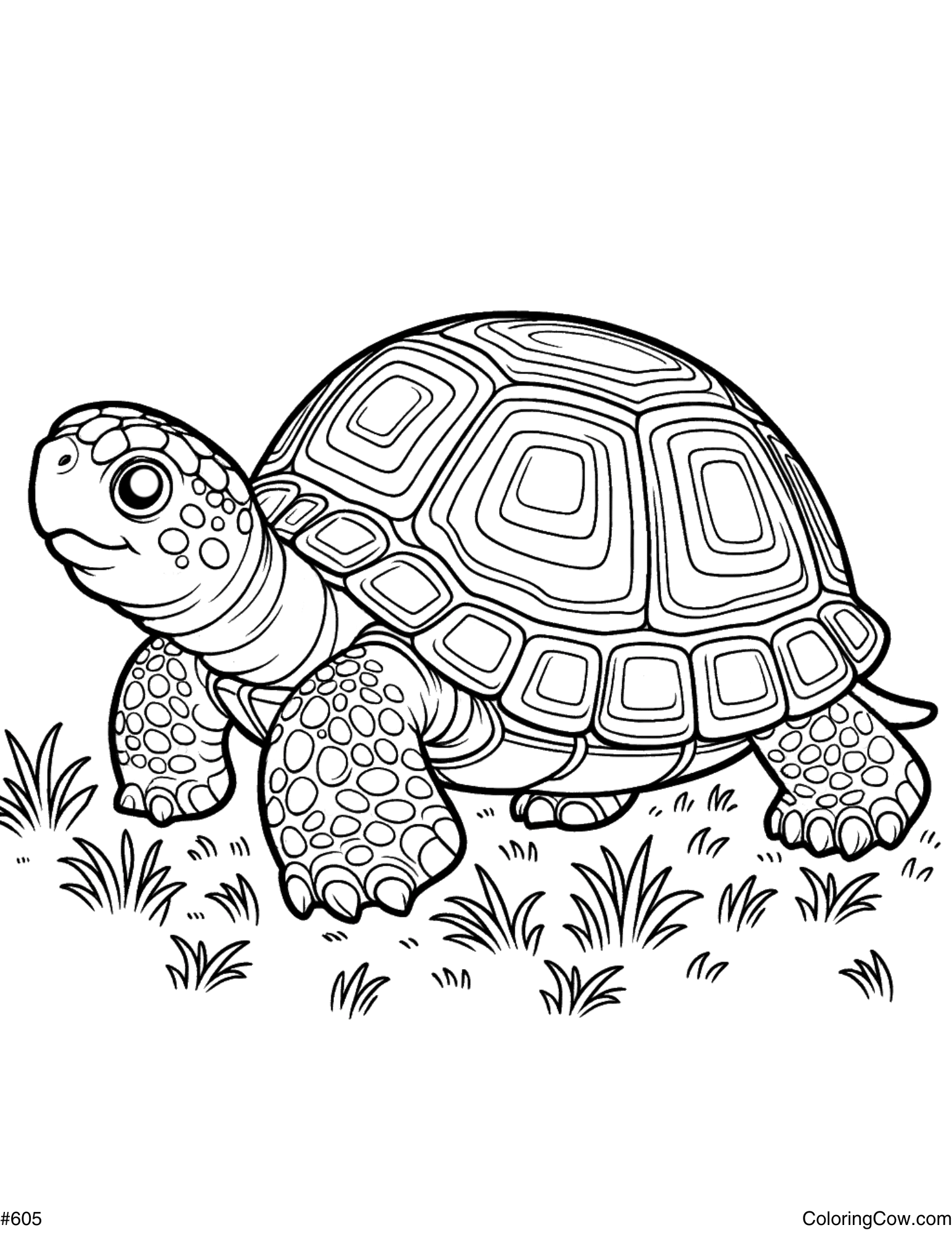 turtle coloring pages