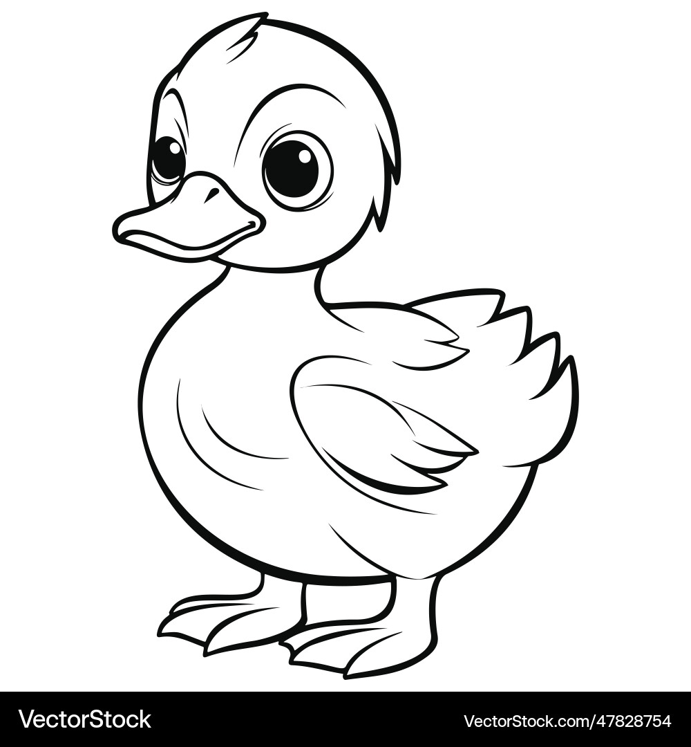 duck coloring pages