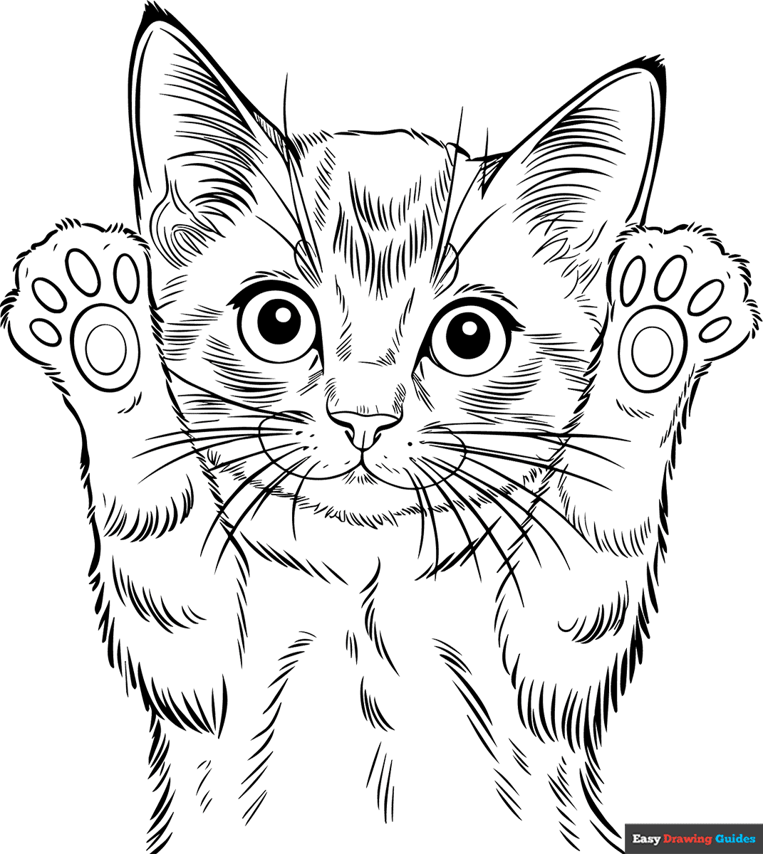 kitten coloring page kitten coloring page