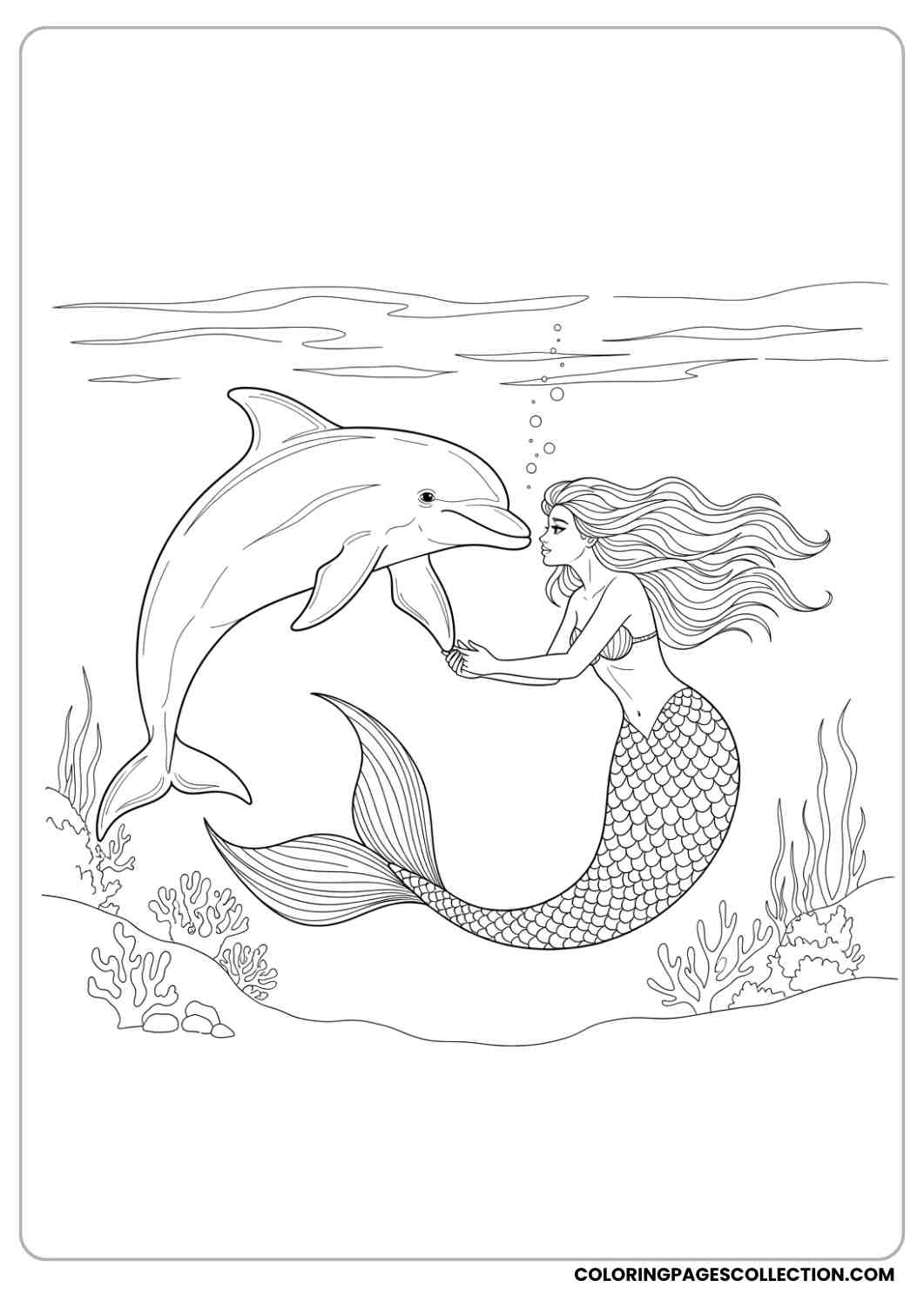 Printable Dolphin Coloring Pages For Kids Adults