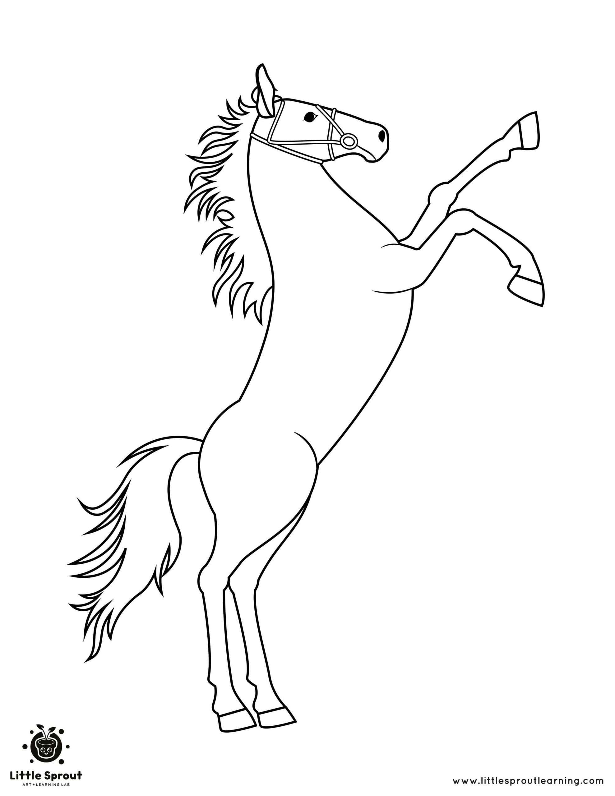 Standing Horse Coloring Page Little Sprout Art Learning